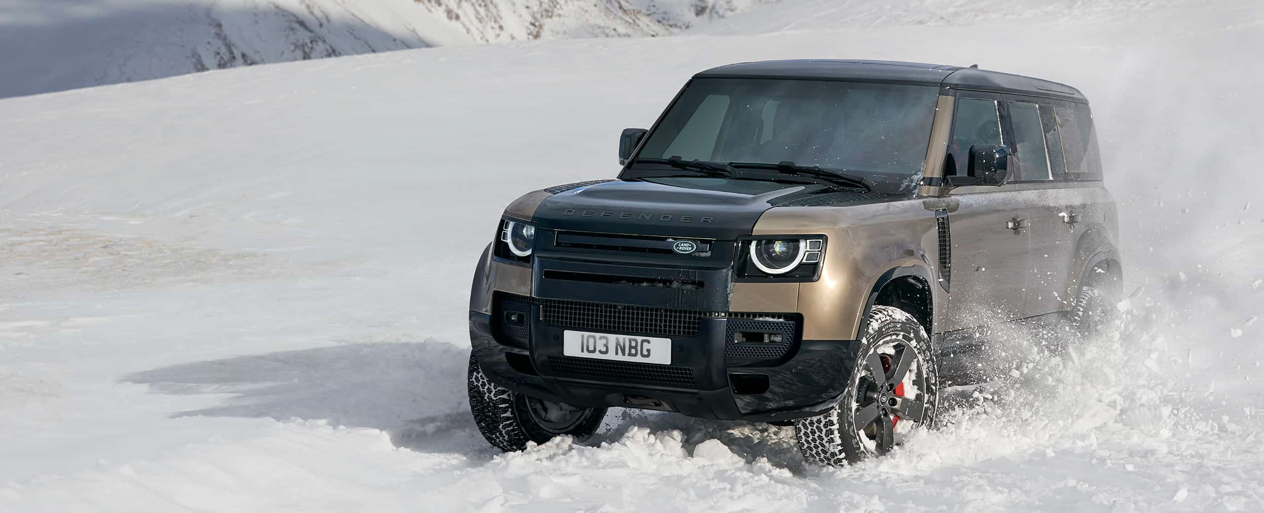 DEFENDER 110 の詳細 | DEFENDER DEFENDER 110 の詳細 | DEFENDER