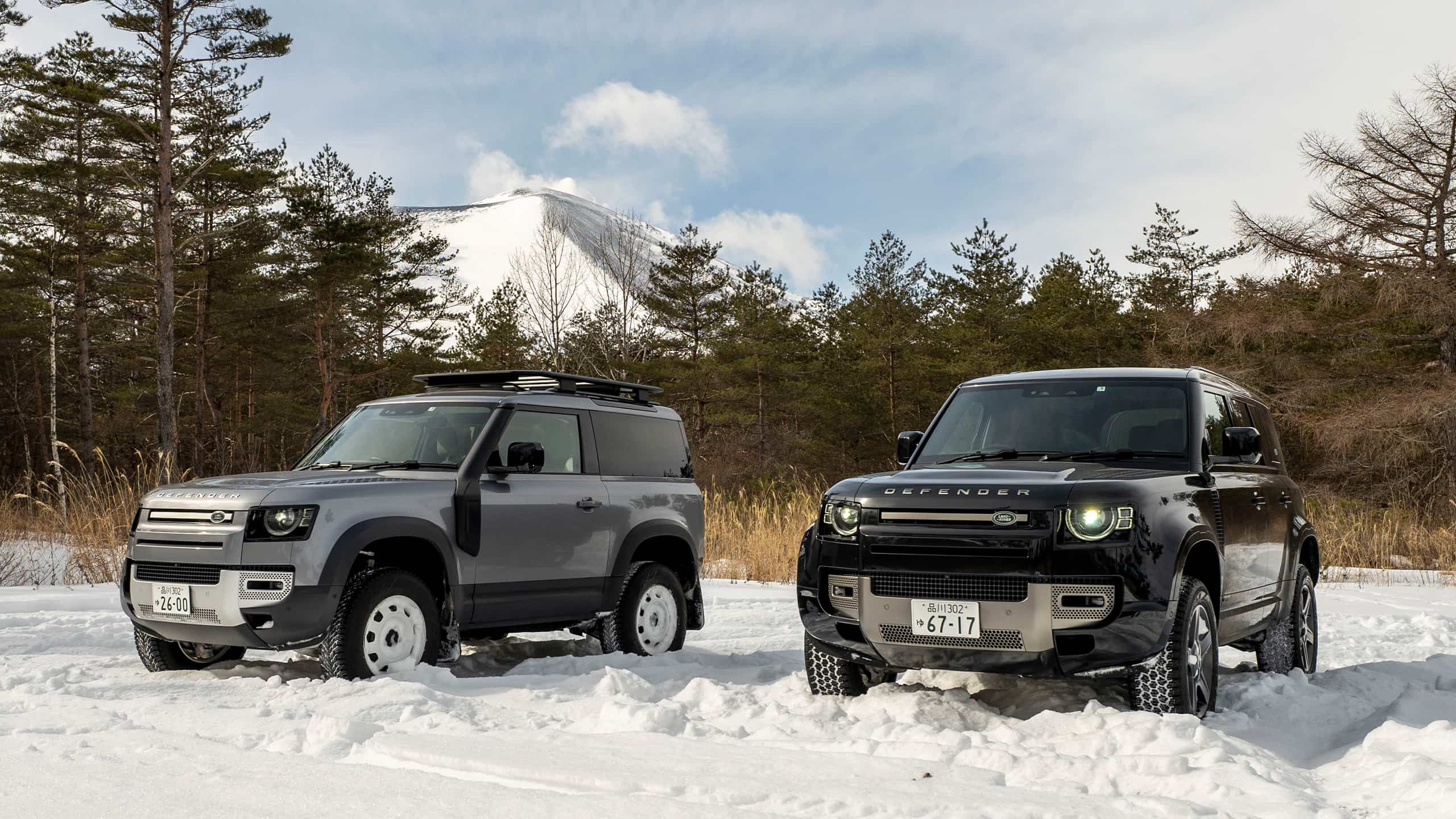 Range Rover Defender Dual Models